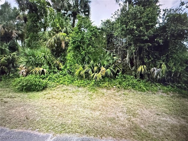 Bow Run, Labelle FL, 33935 land for sale