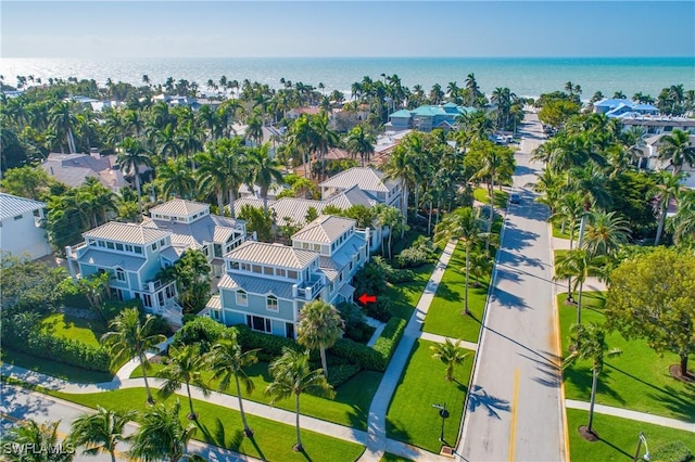 drone / aerial view with a water view