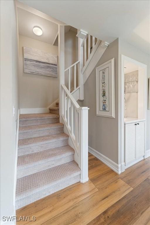 staircase featuring wood-type flooring