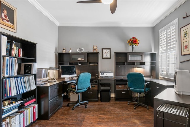 office featuring ceiling fan, dark hardwood / wood-style flooring, and crown molding