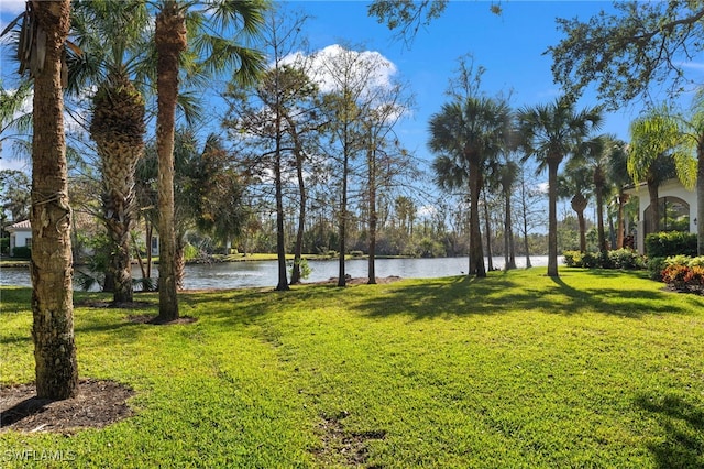 view of yard with a water view