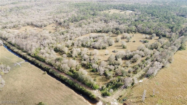 28420 Mullet Rd, Labelle FL, 33935 land for sale