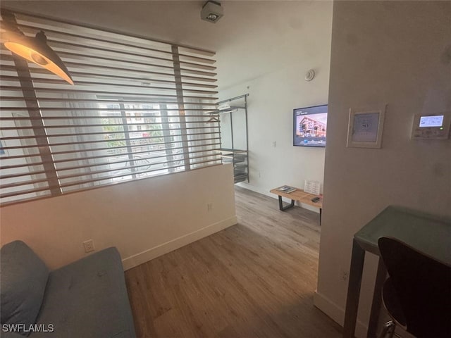 hallway with hardwood / wood-style flooring