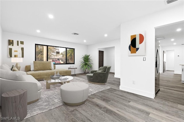 living room featuring wood-type flooring