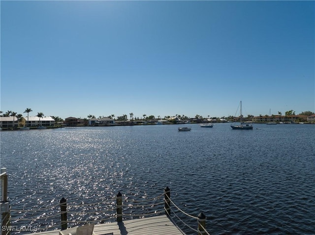 dock area with a water view