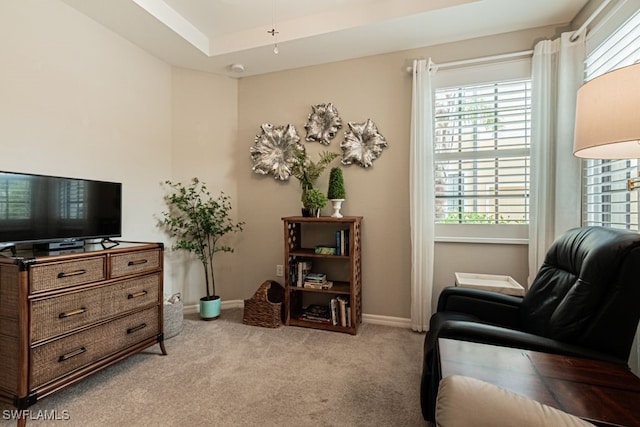 sitting room featuring a raised ceiling and light colored carpet