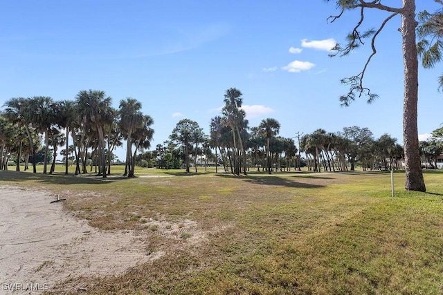 view of property's community with a yard