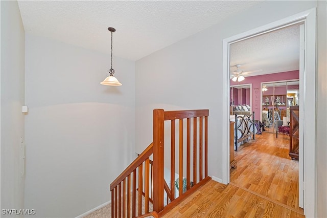 hall featuring a textured ceiling and hardwood / wood-style flooring