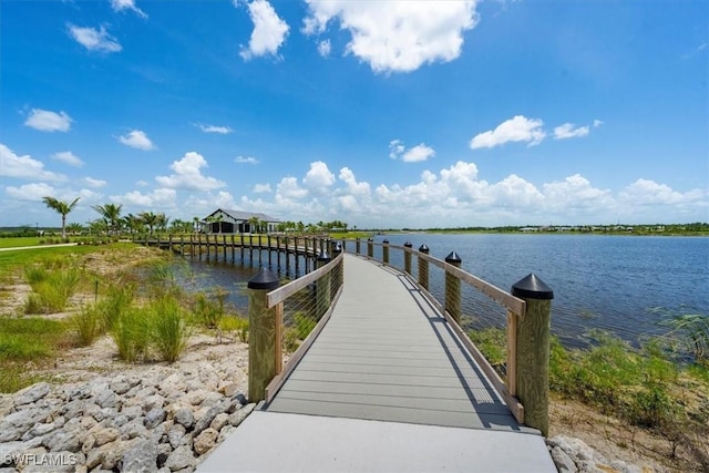 dock area with a water view