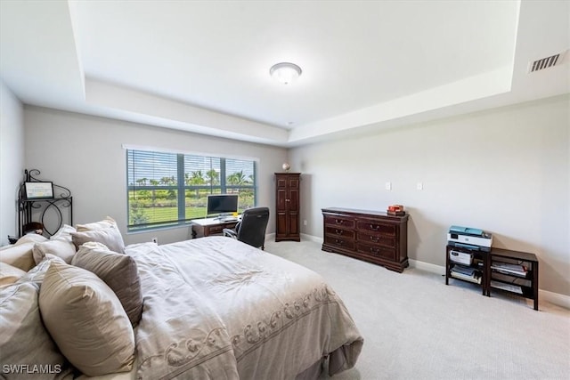 carpeted bedroom featuring a raised ceiling