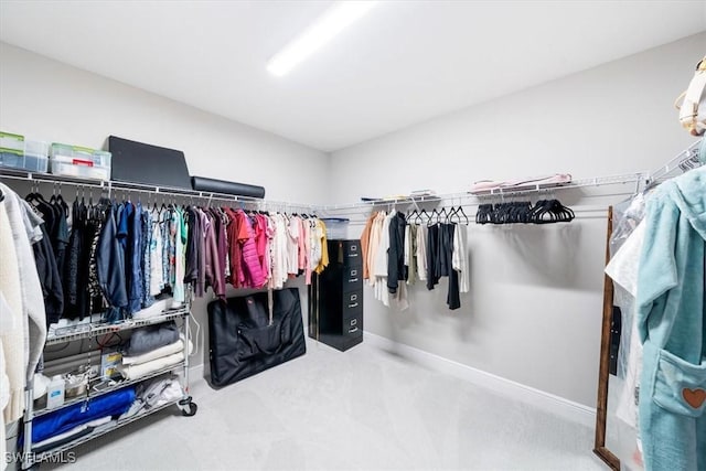 walk in closet with carpet floors