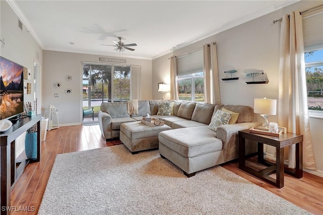 living room featuring hardwood / wood-style flooring, plenty of natural light, and ornamental molding