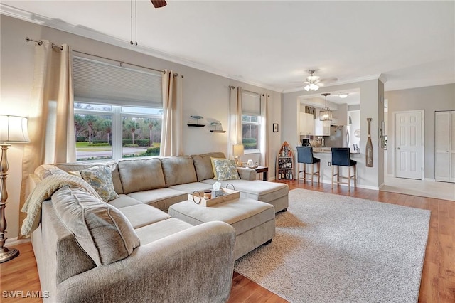 living room featuring ceiling fan, light hardwood / wood-style floors, and crown molding