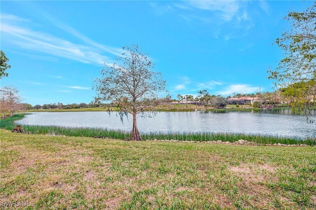 property view of water