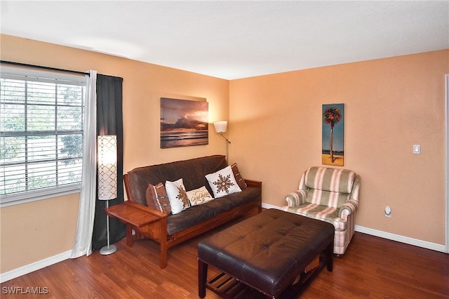 living room featuring a wealth of natural light and dark hardwood / wood-style floors