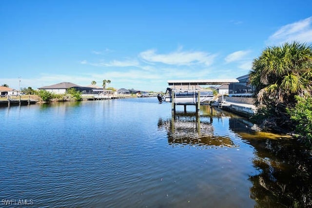 dock area with a water view