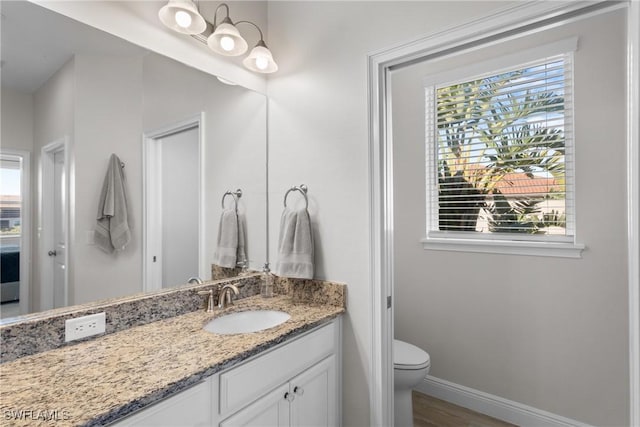 bathroom with vanity, wood-type flooring, and toilet