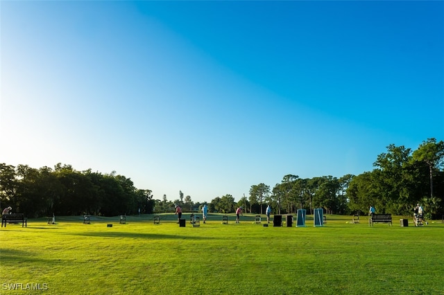 view of property's community with a yard