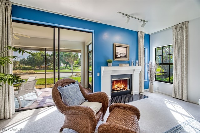 sitting room featuring track lighting and light colored carpet