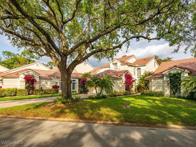 view of front of house with a front lawn