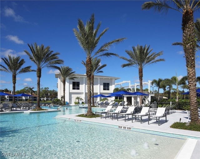 view of pool featuring a patio