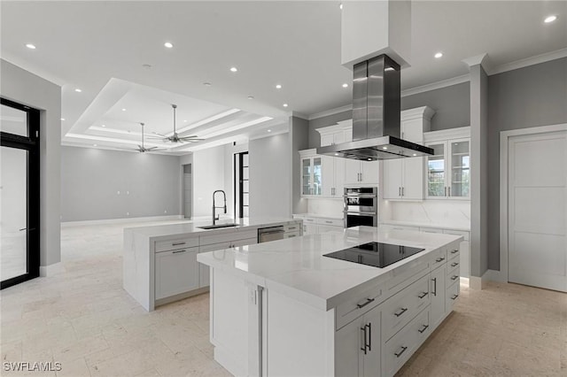 kitchen featuring a spacious island, sink, island exhaust hood, a tray ceiling, and appliances with stainless steel finishes