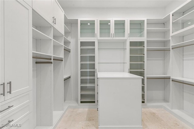 view of spacious closet