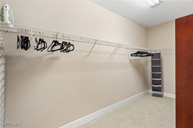 view of walk in closet