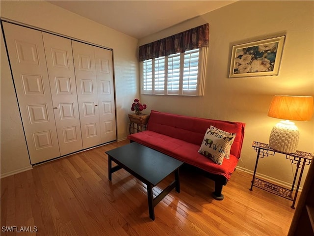 living room featuring wood-type flooring