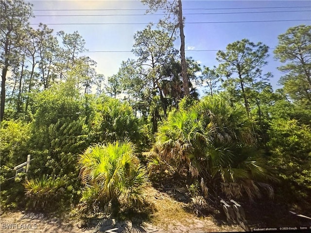 1511 Palmetto Ave, Lehigh Acres FL, 33972 land for sale