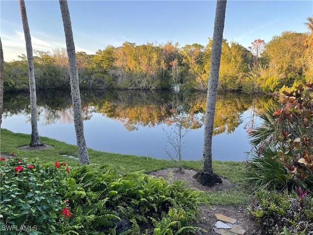 property view of water