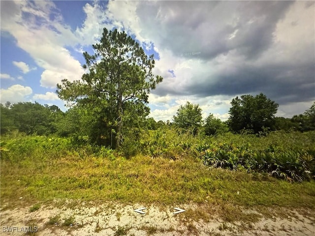 407 W 18th St, Lehigh Acres FL, 33972 land for sale