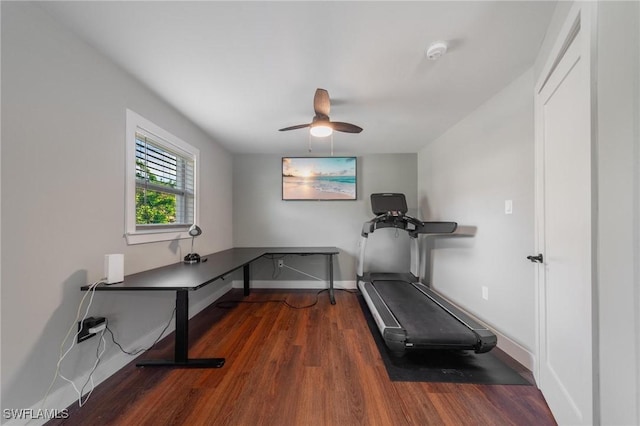 exercise room with ceiling fan and dark hardwood / wood-style flooring