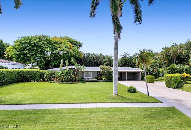 ranch-style home featuring a front yard and a carport