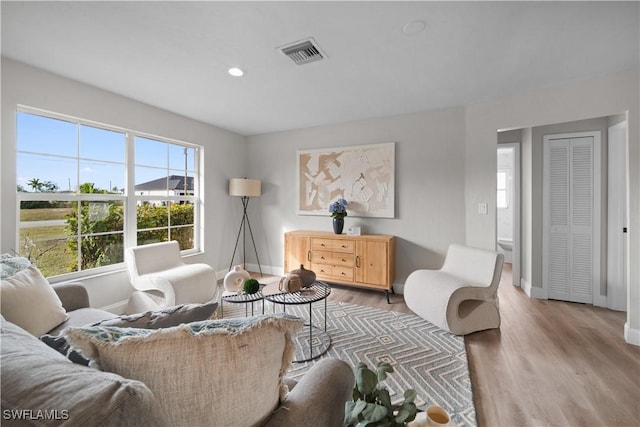 living room with wood-type flooring