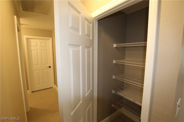 view of closet