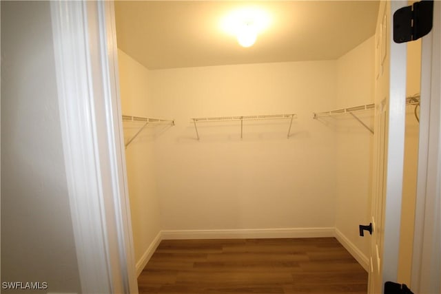 walk in closet featuring dark hardwood / wood-style flooring