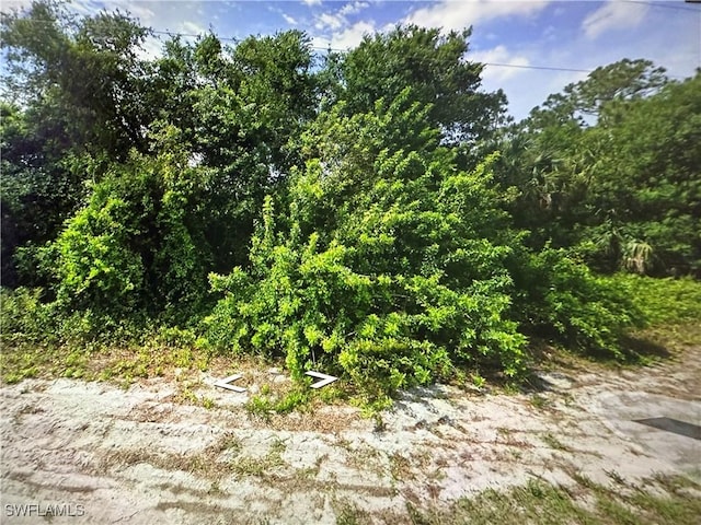 1244 Echard St E, Lehigh Acres FL, 33974 land for sale