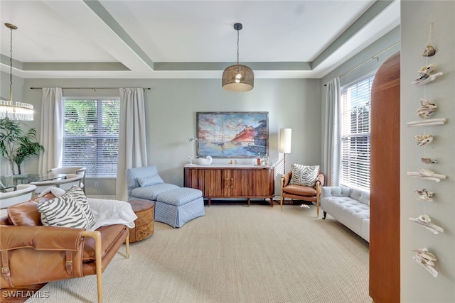 living area featuring carpet and a raised ceiling