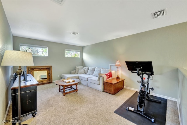 view of carpeted living room