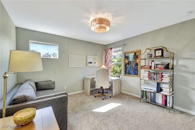 office featuring light colored carpet