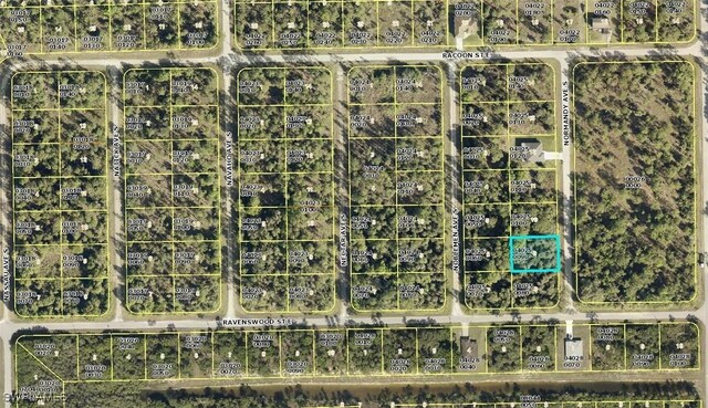 134 Normandy Ave, Lehigh Acres, FL 33974