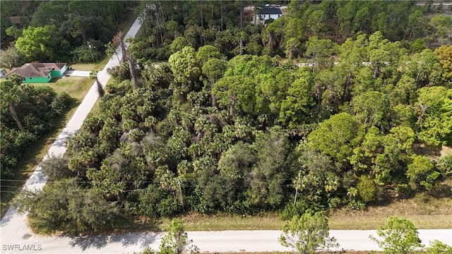 134 Normandy Ave, Lehigh Acres, FL 33974