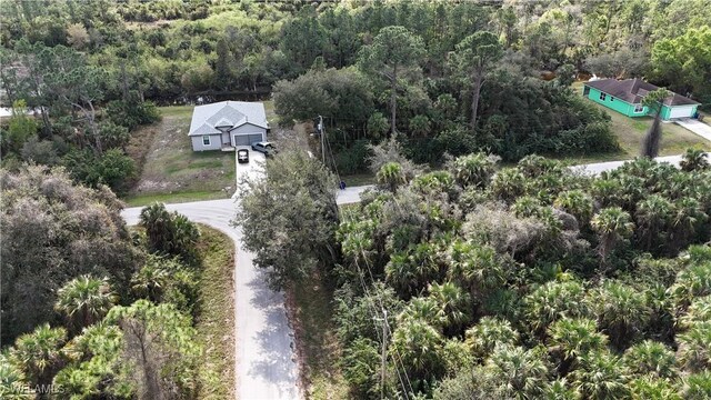 134 Normandy Ave, Lehigh Acres, FL 33974