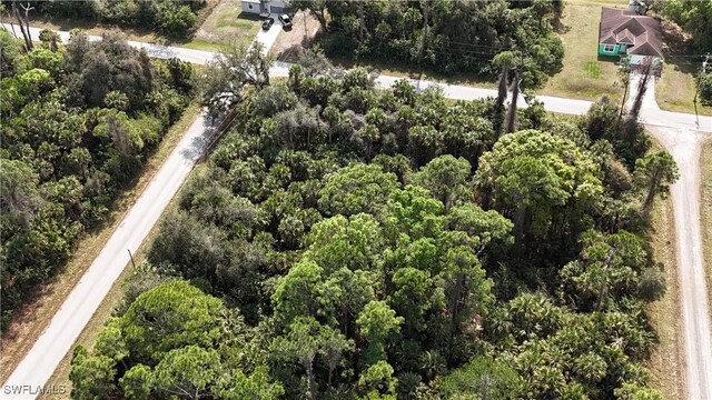 134 Normandy Ave, Lehigh Acres, FL 33974