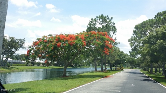 view of street with a water view