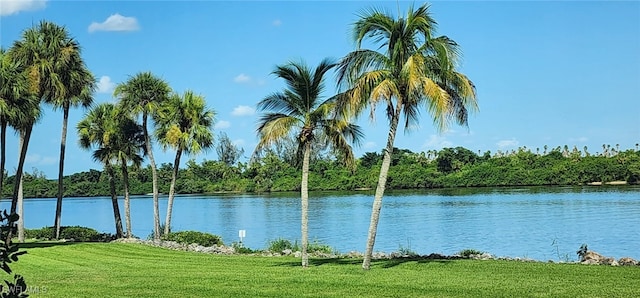 view of water feature