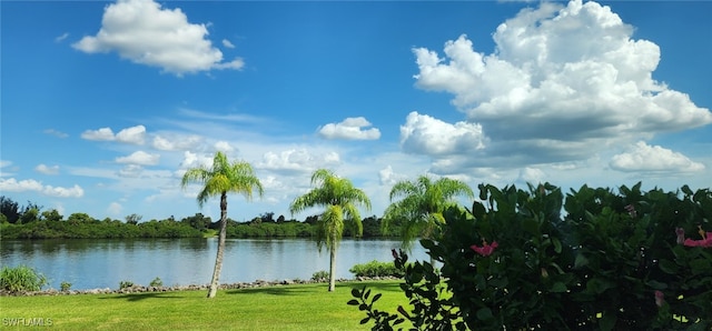 view of water feature