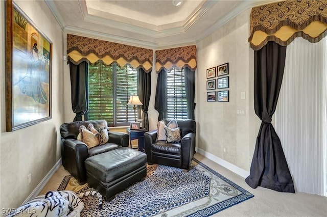 living area featuring a raised ceiling and crown molding