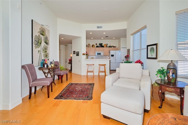 living room with light hardwood / wood-style floors and a wealth of natural light